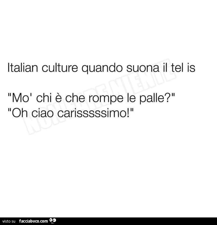 Italian culture quando suona il tel is mò chi è che rompe le palle? oh ciao carisssssimo