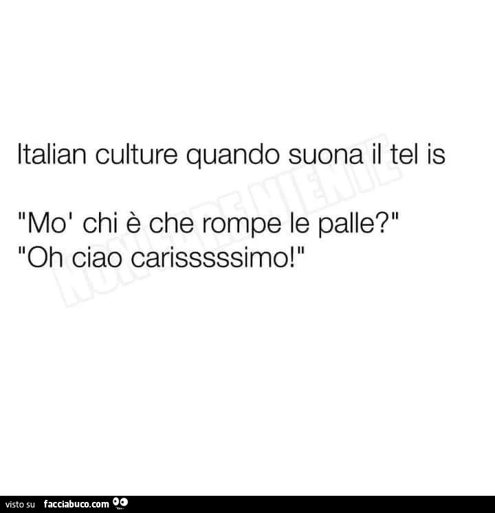 Italian culture quando suona il tel is mò chi è che rompe le palle? oh ciao carisssssimo