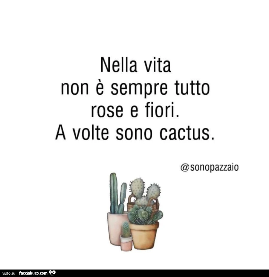 Nella vita non è sempre tutto rose e fiori. A volte sono cactus