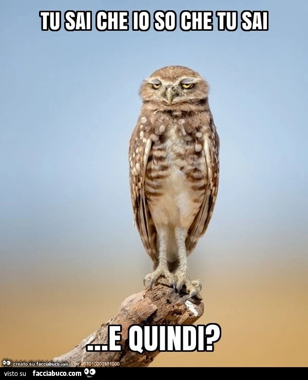 Tu sai che io so che tu sai&hellip; e quindi?