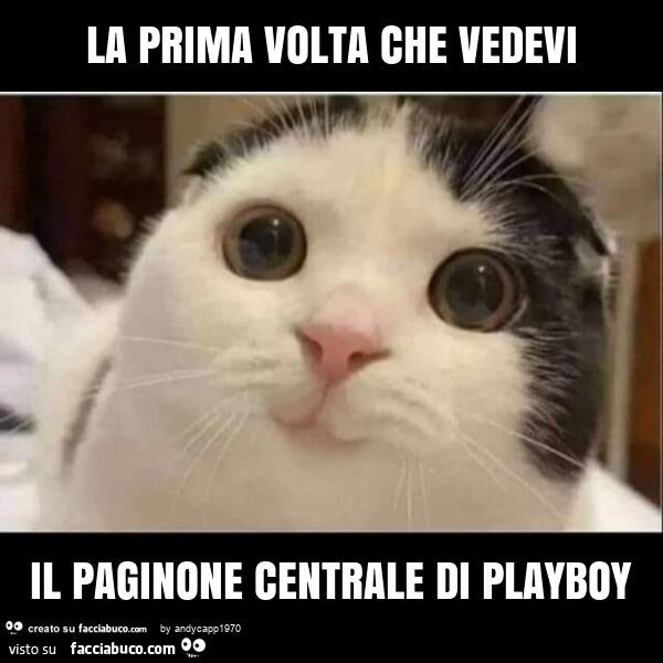 La prima volta che vedevi il paginone centrale di playboy