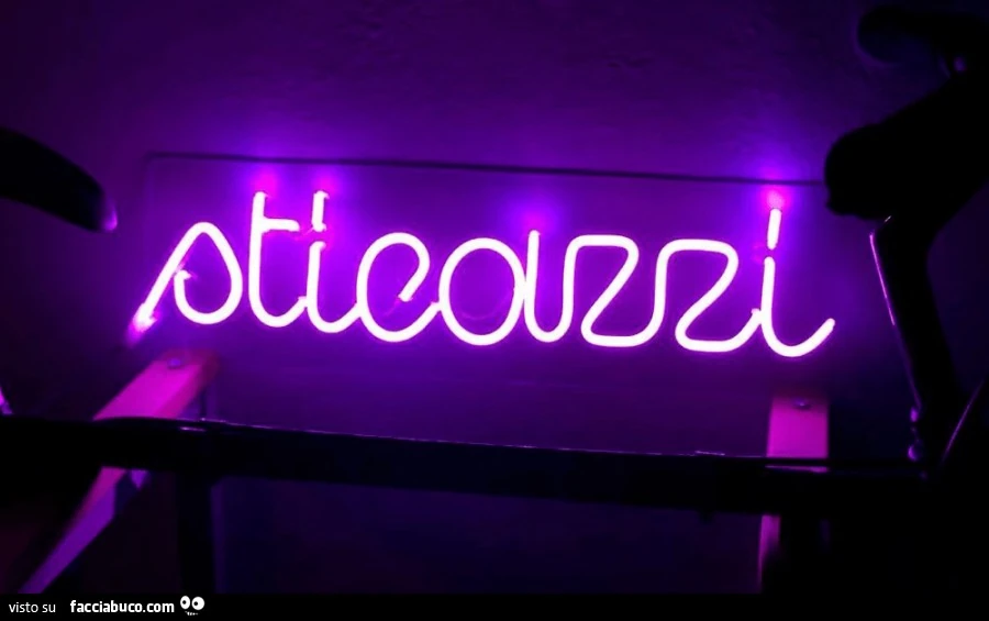 Sticazzi al neon
