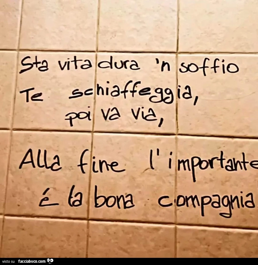 Vaccata
