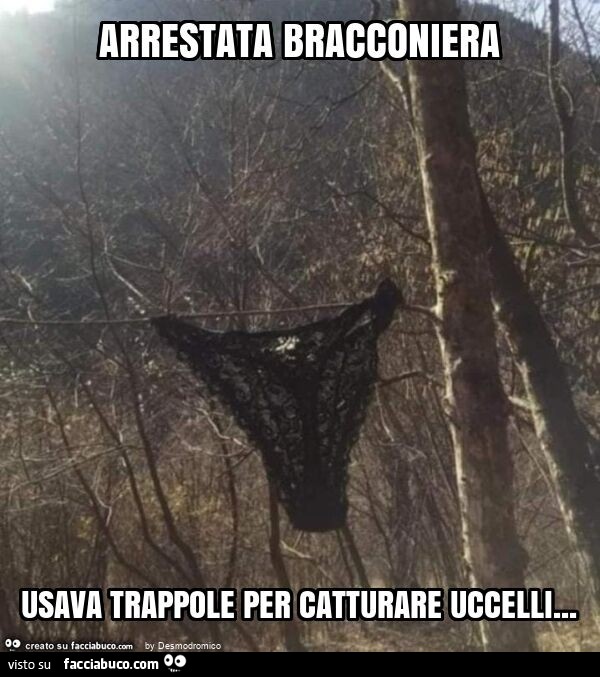 Arrestata bracconiera usava trappole per catturare uccelli