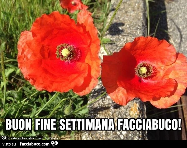 Buon fine settimana facciabuco