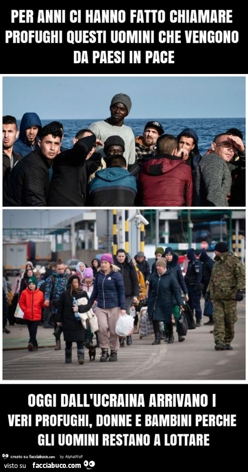 Per anni ci hanno fatto chiamare profughi questi uomini che vengono da paesi in pace oggi dall'ucraina arrivano i veri profughi, donne e bambini perche gli uomini restano a lottare