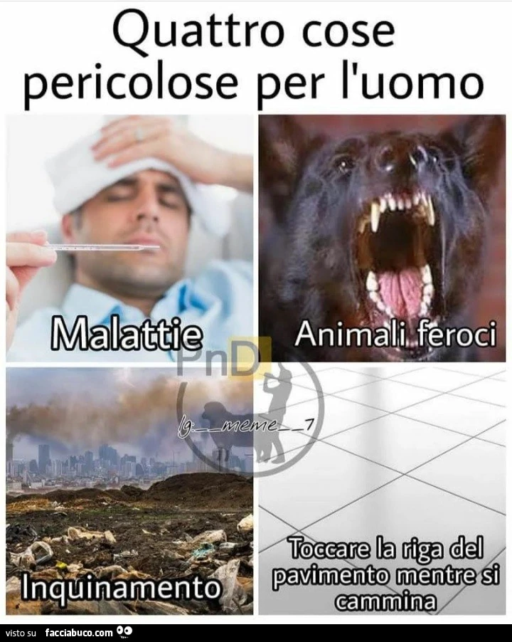 Vaccata