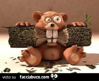 Aja ritt tutt cosi