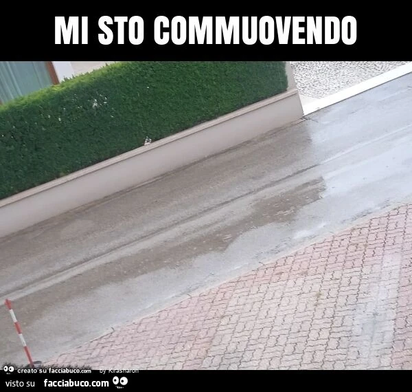 Mi sto commuovendo