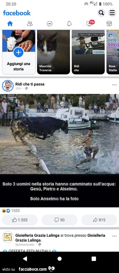 Vaccata