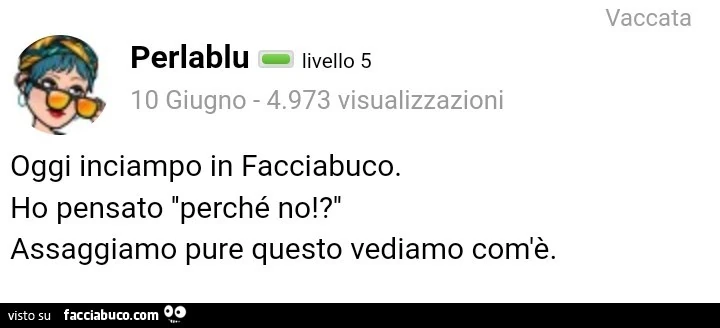 Oggi inciampo in facciabuco. Ho pensato perché no!? Assaggiamo pure questo vediamo com'è