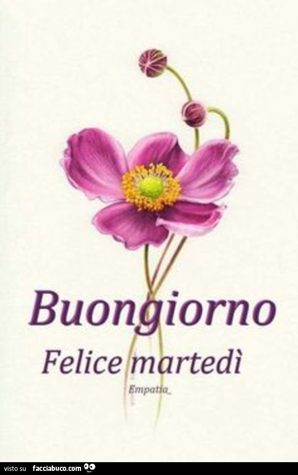 Buongiorno felice martedì