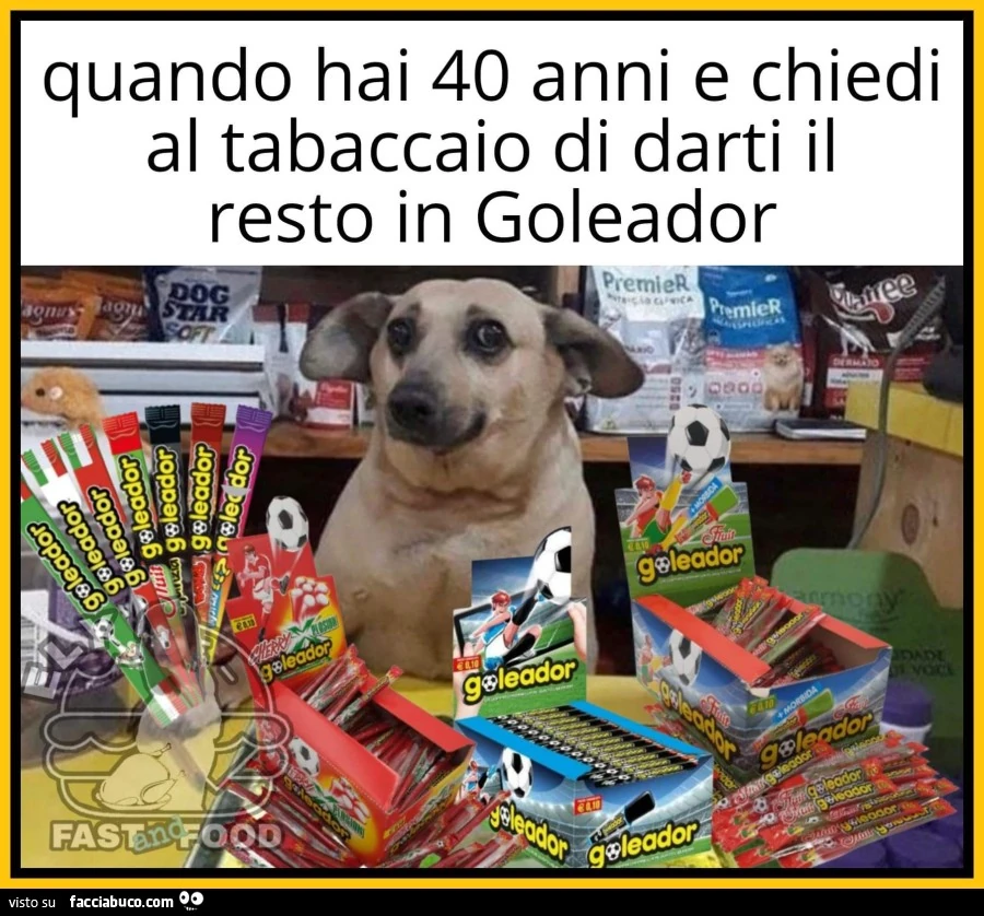 Vaccata