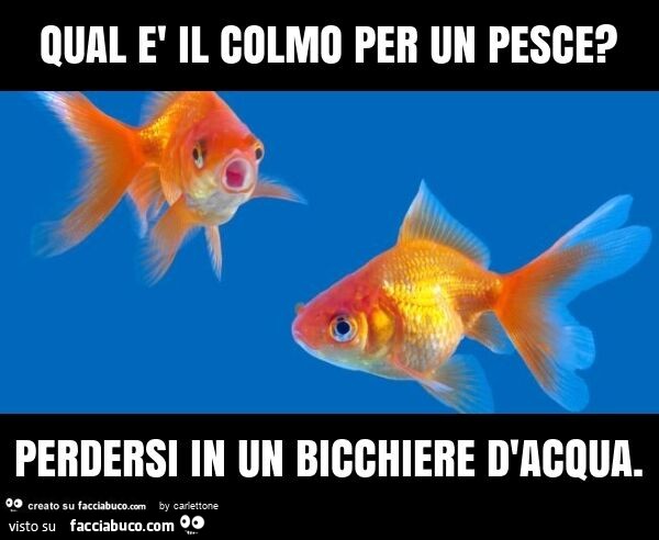 Qual è il colmo per un pesce? Perdersi in un bicchiere d'acqua