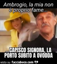 Vaccata