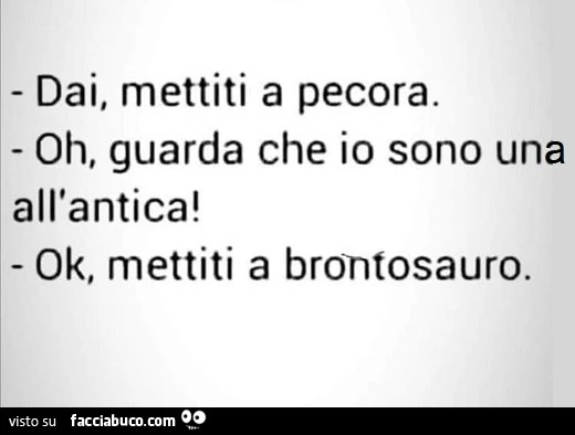 Dai, mettiti a pecora. Oh, guarda che io sono un all'antica! Ok, mettiti a brontosauro