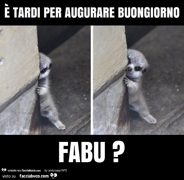 È tardi per augurare buongiorno fabu?
