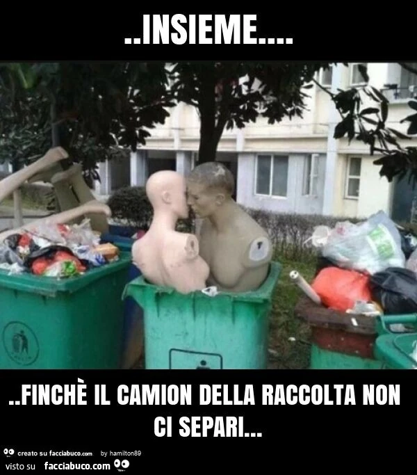 Insieme&hellip; finchè il camion della raccolta non ci separi