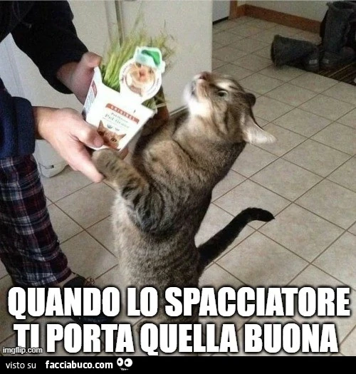 Vaccata