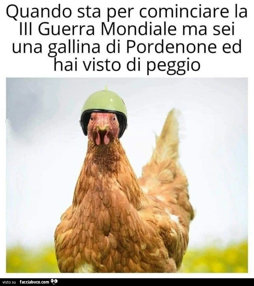 Quando sta per cominciare la terza guerra mondiale ma sei una gallina di Pordenone ed hai visto il peggio