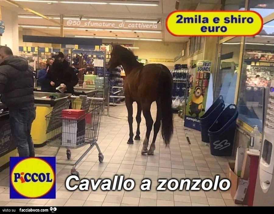 Piccol cavallo a zonzolo