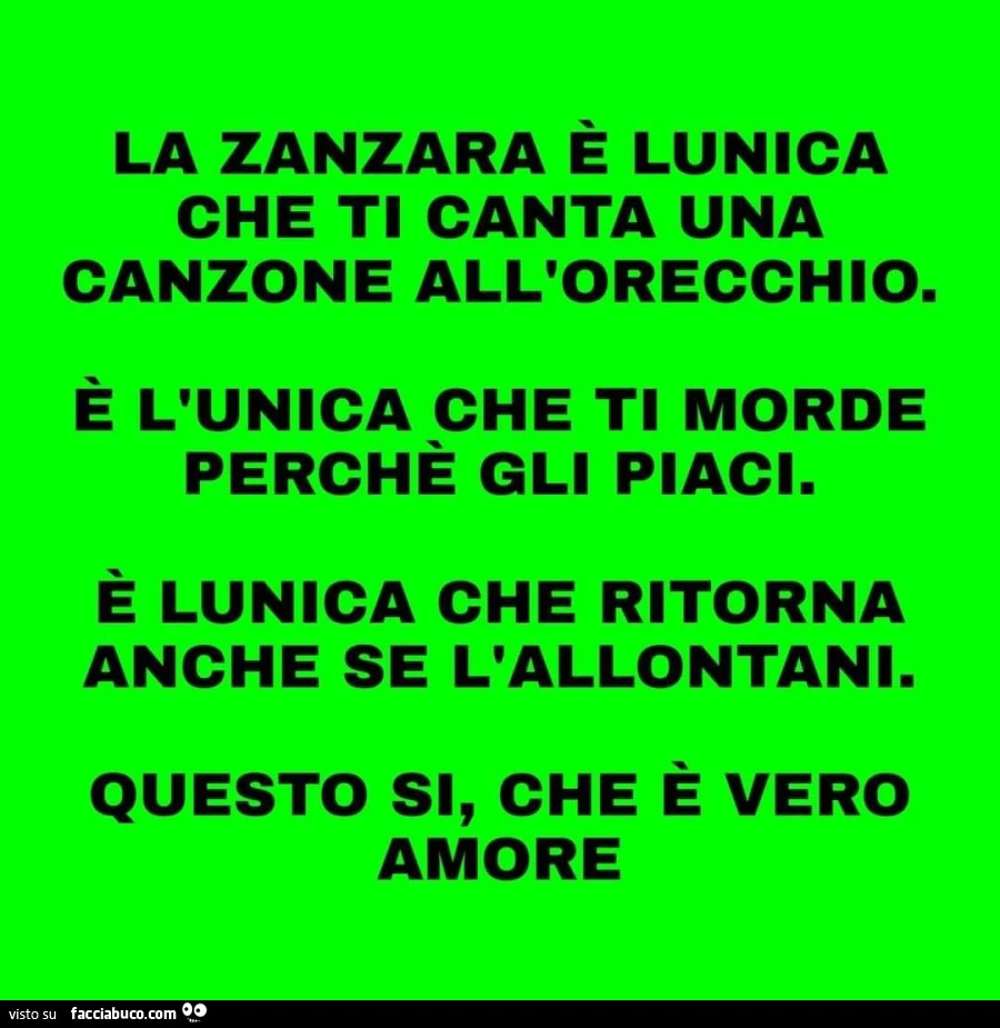 La zanzara è l'unica che ti canta una canzone all'orecchio. È L'unica che ti morde perché gli piaci