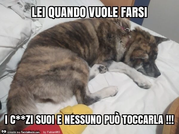 Lei quando vuole farsi i c**zi suoi e nessuno può toccarla
