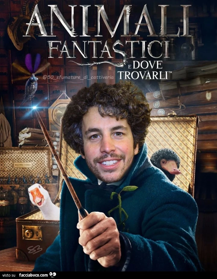 Animali Fantastici e dove trovarli