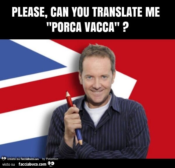 Please, can you translate me "porca vacca"?