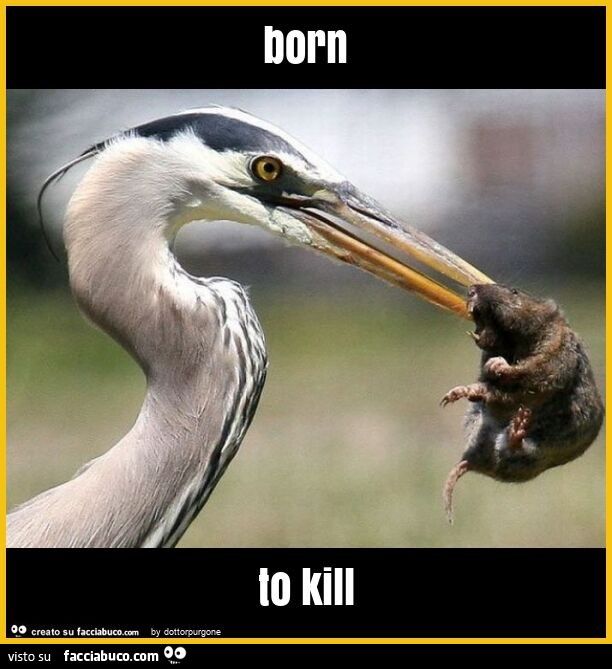 Born to kill