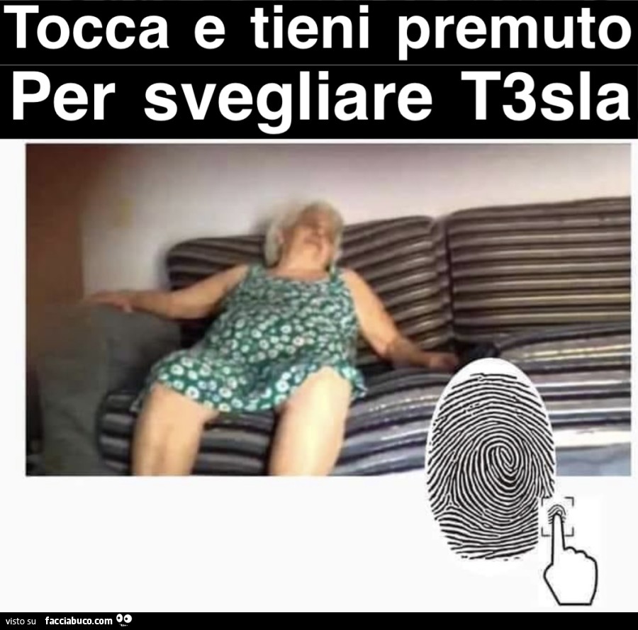 Vaccata