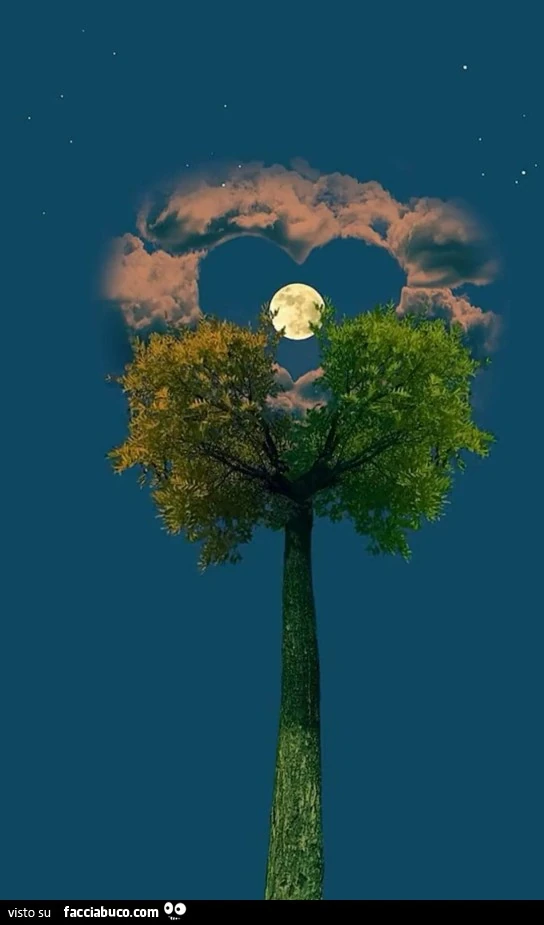 Albero e nuvola a cuore
