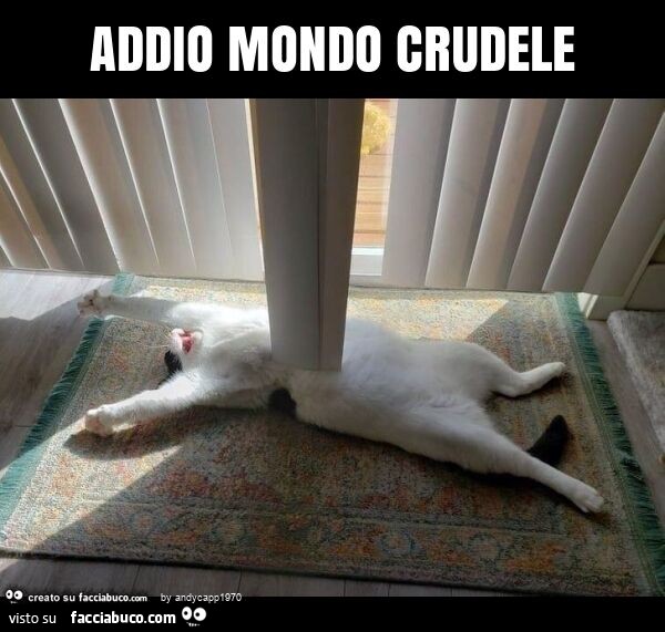 Addio mondo crudele