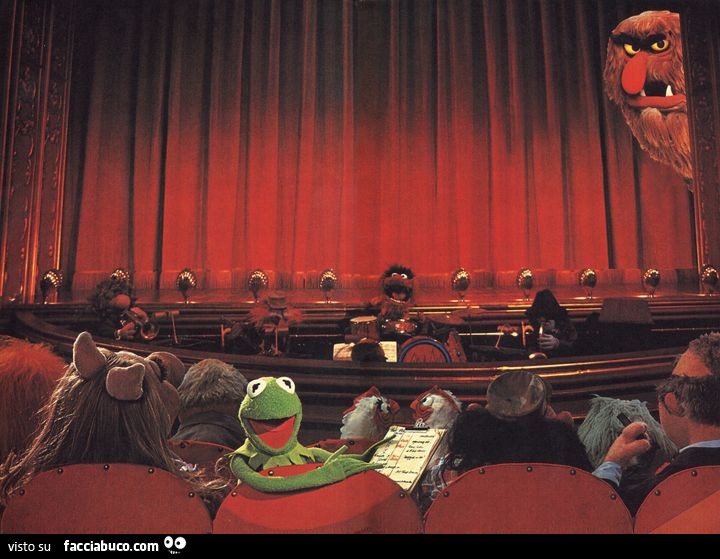 Presto… presto… sta cominciando lo spettacolo notturno… Kermit e Muppets