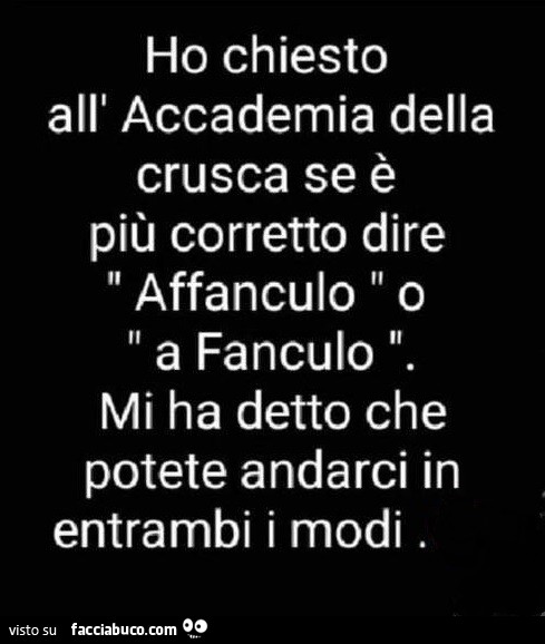 Ho chiesto all' accademia della crusca se è più corretto dire affanculo o a fanculo mi ha detto che potete andarci in entrambi i modi