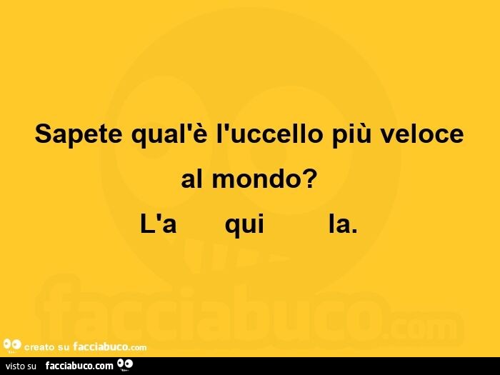 Sapete qual'è l'uccello più veloce al mondo? L'a qui la.