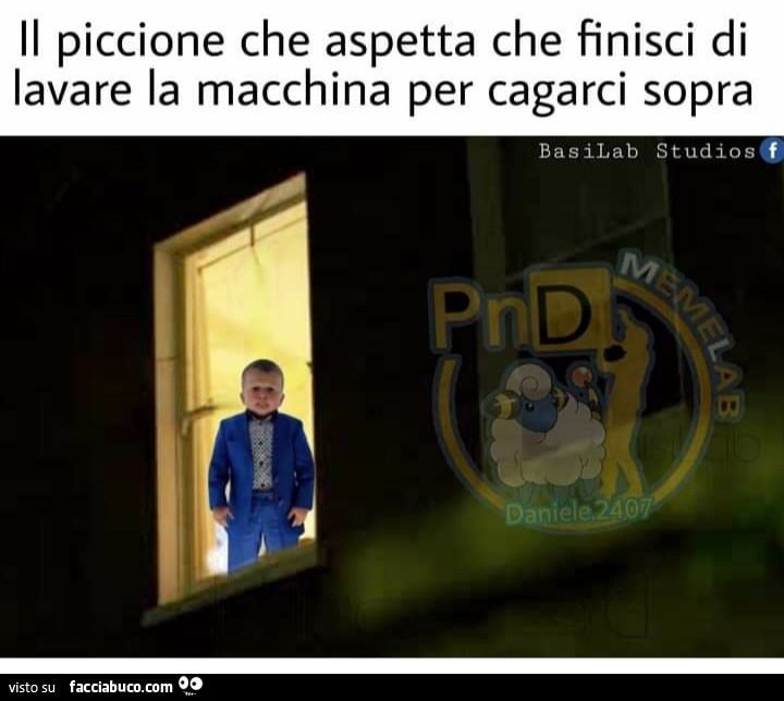 Il piccione che aspetta che finisci di lavare la macchina