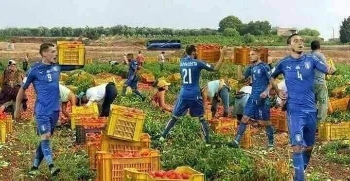 Italia pomodori
