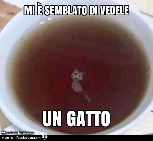 Mi è semblato di vedele un gatto