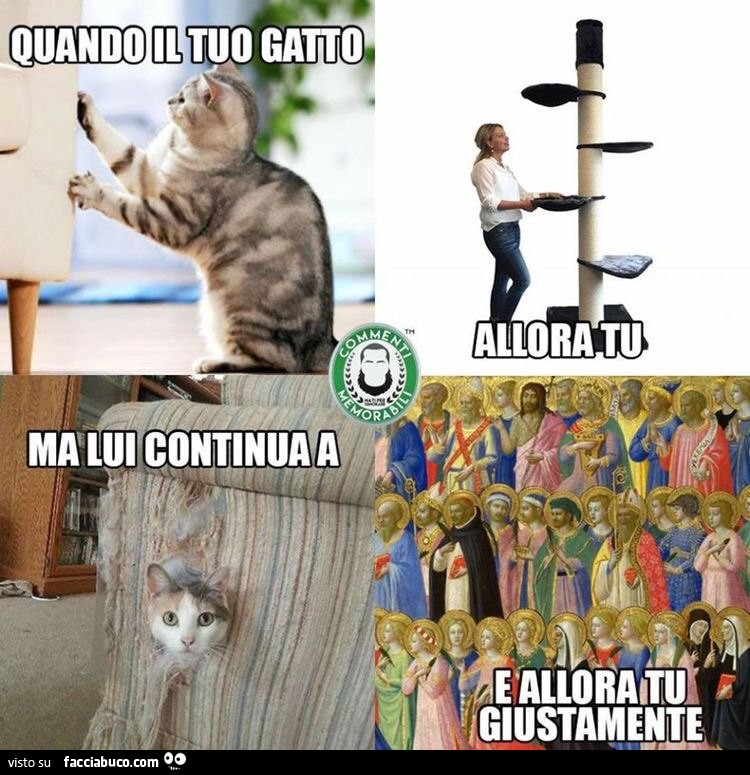 Vaccata
