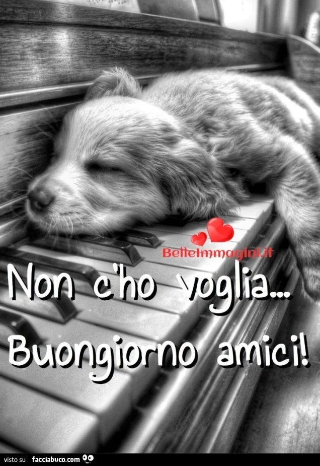 Saluti giorno