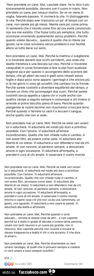 Non prendete un cane. Mai. Lasciate stare. Ve lo dico il più sinceramente possibile