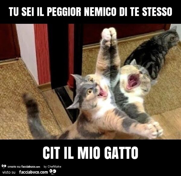 Tu sei il peggior nemico di te stesso cit il mio gatto