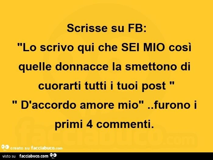 Scrisse su fb: "lo scrivo qui che sei mio così quelle donnacce la smettono di cuorarti tutti i tuoi post. d'accordo amore mio". furono i primi 4 commenti