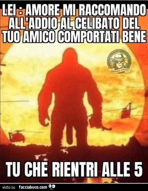 Vaccata