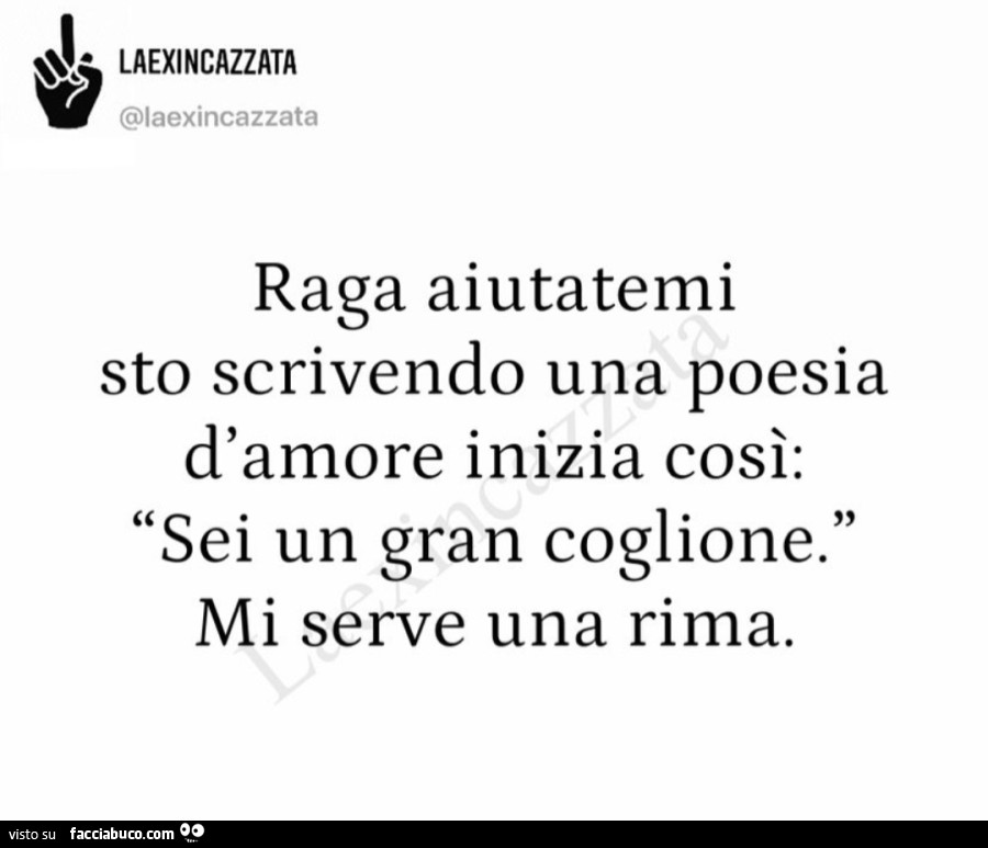 Raga aiutatemi sto scrivendo una poesia d'amore inizia così: sei un gran coglione. Mi serve una rima