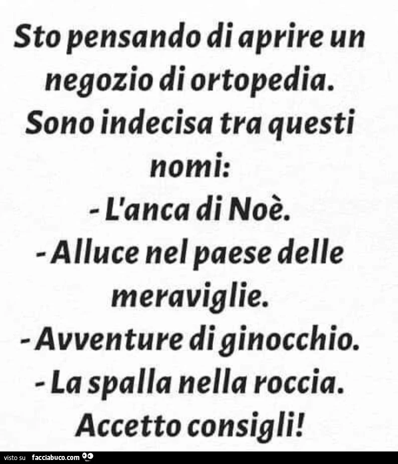 Sto pensando di aprire un negozio di ortopedia. Sono indecisa tra questi nomi: l'anca di noè