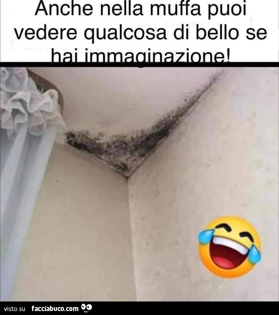 Immaginazione nella muffa