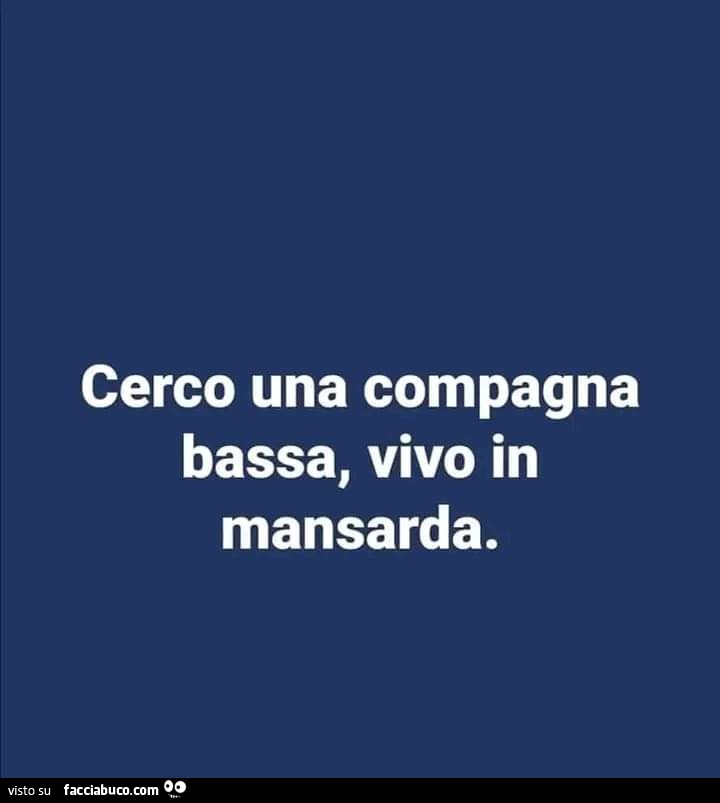 Cerco una compagna bassa, vivo in mansarda