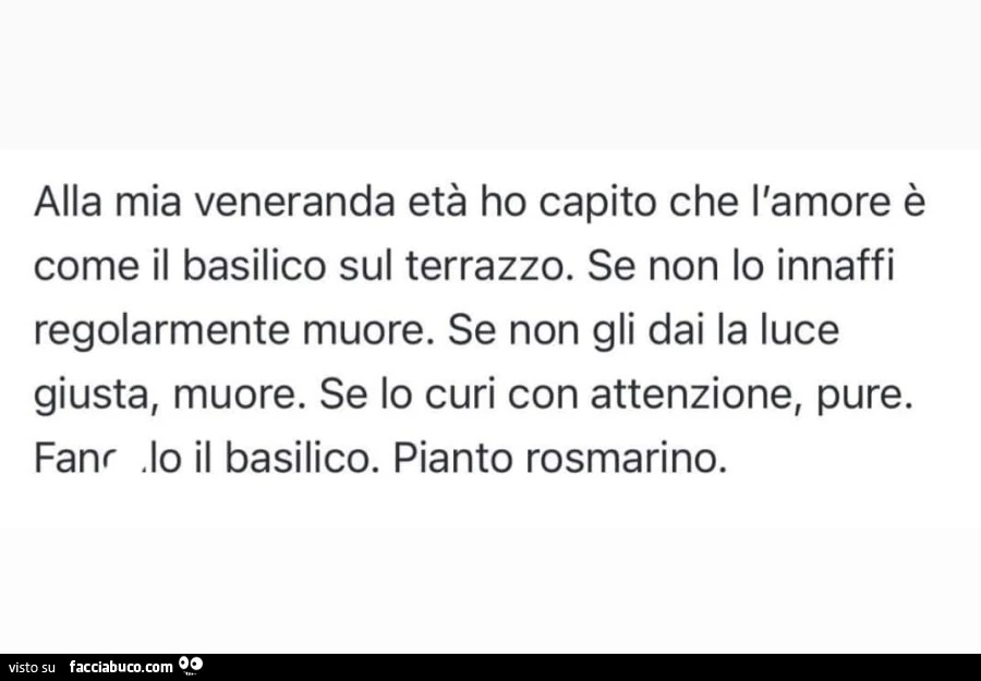Alla mia veneranda etร ho capito che l'amore รจ come il basilico sul terrazzo. se non lo innaffi regolarmente muore. se non gli dai la luce giusta, muore. se lo curi con attenzione, pure. fanculo il basilico. pianto rosmarino